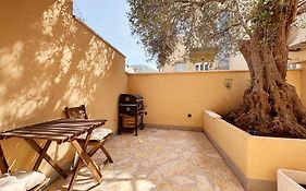 Olive Tree
