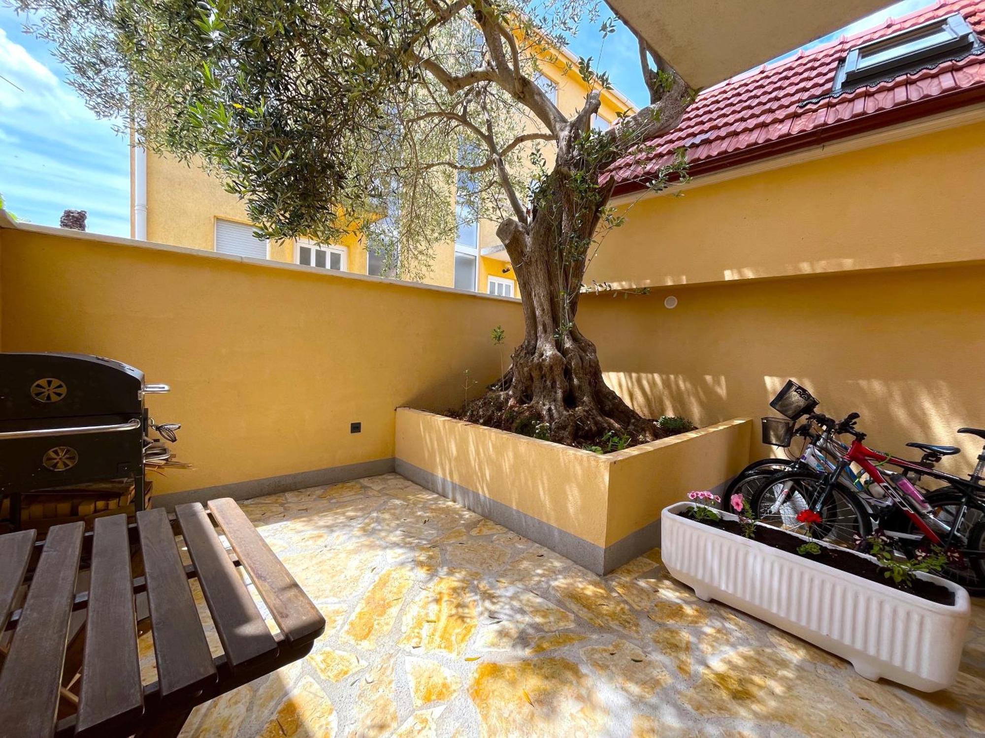 Appartement Olive Tree à Stari Grad  Extérieur photo
